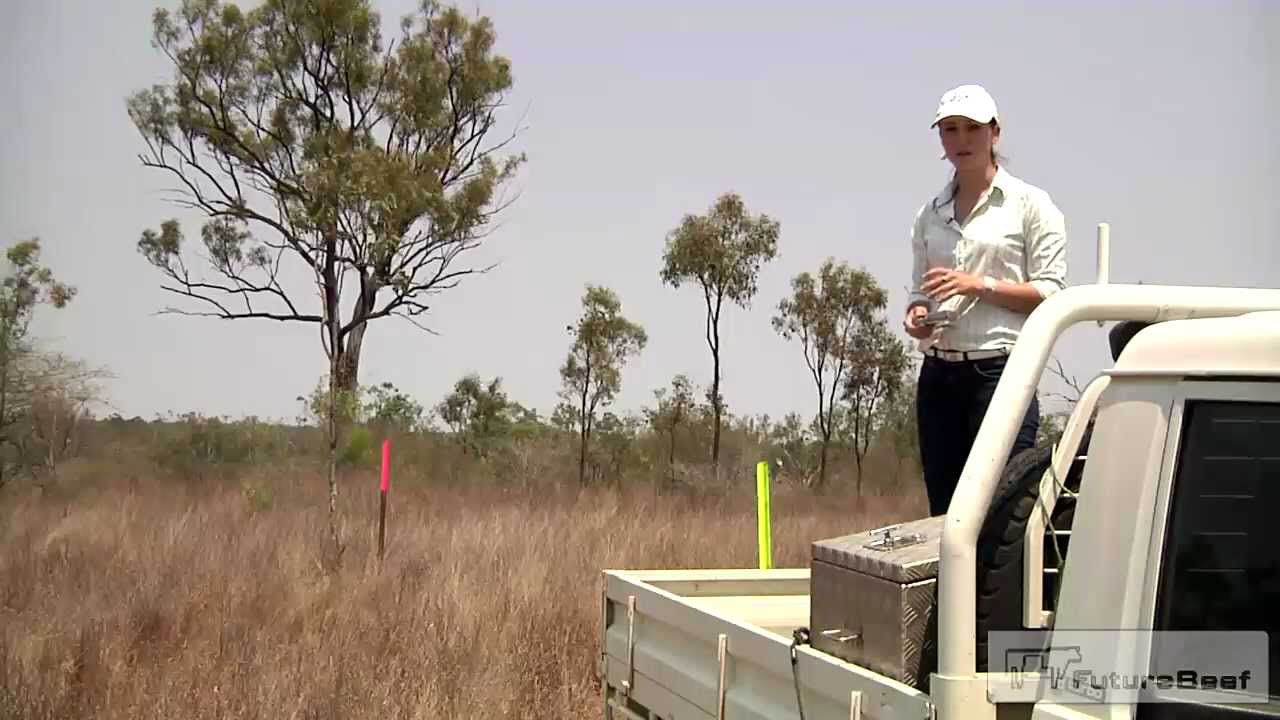 Guide to pasture photo monitoring