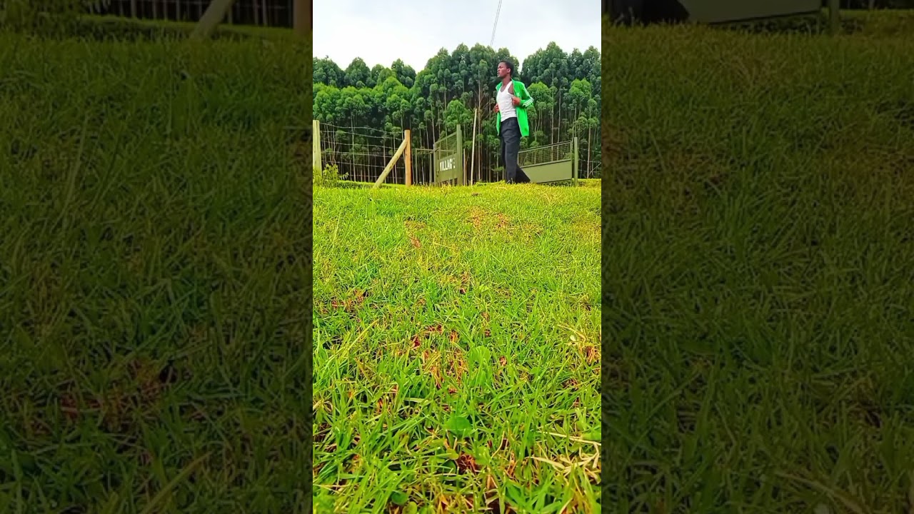 #viral #viral #trendingshorts #duet #fyp #fypシ #viralvideo #viral 