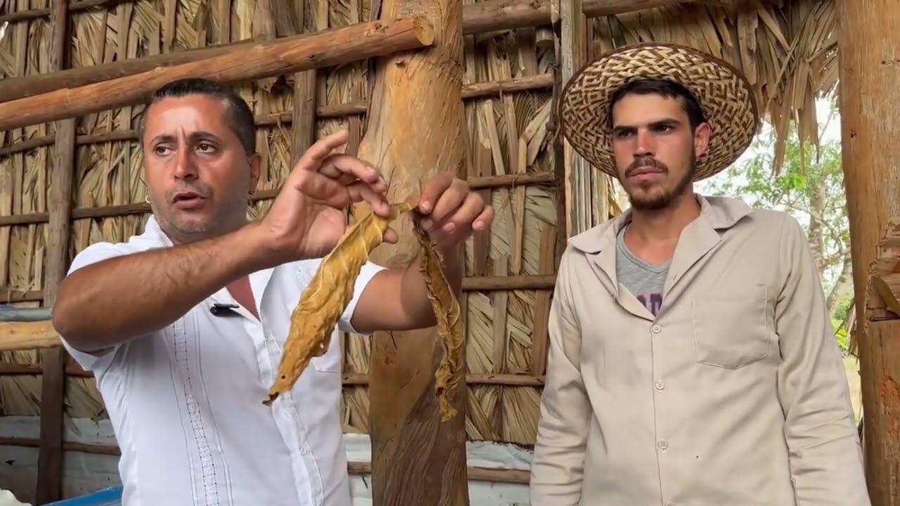 Küba Puro Atölyesi