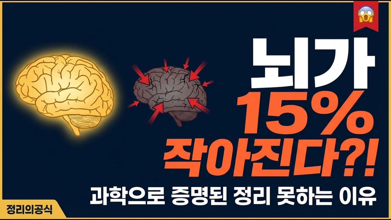 정리 못하는 사람은 뇌가 작다는 속설의 진실 | 과학으로 밝혀진 정리와 IQ의 상관관계