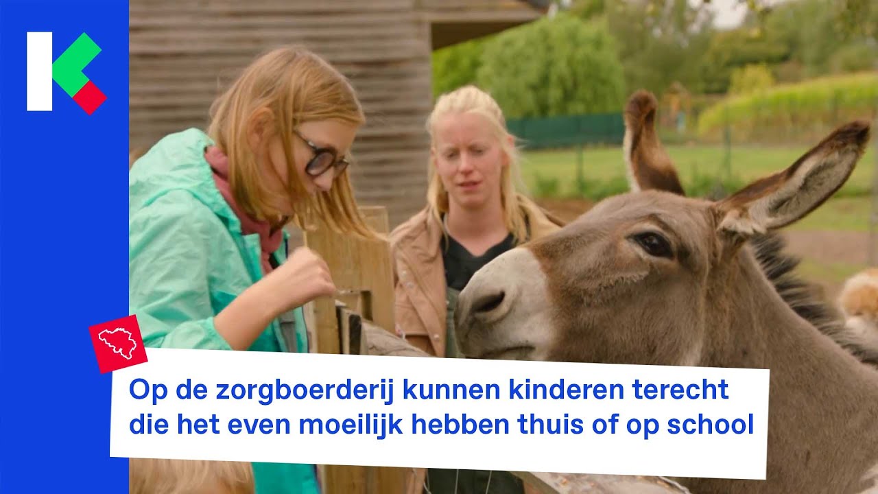 Op de zorgboerderij kunnen kinderen terecht die het even moeilijk hebben thuis of op school