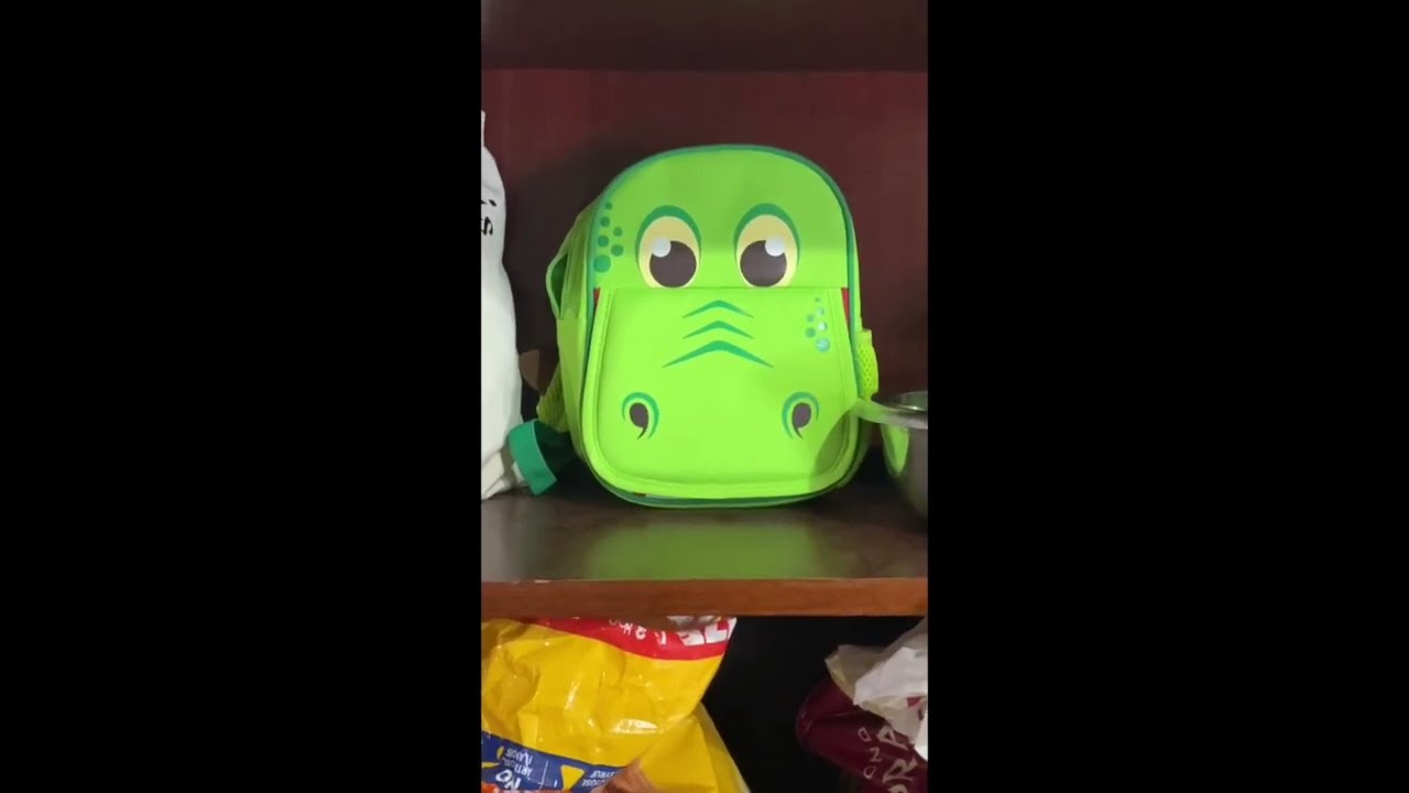 CPL's Red Barn Kennel Facility Update August 2022