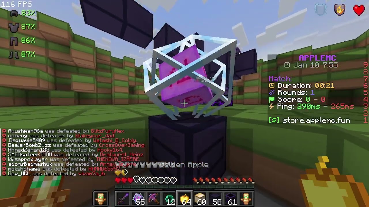 Take 2 in Grape Server Apple MC