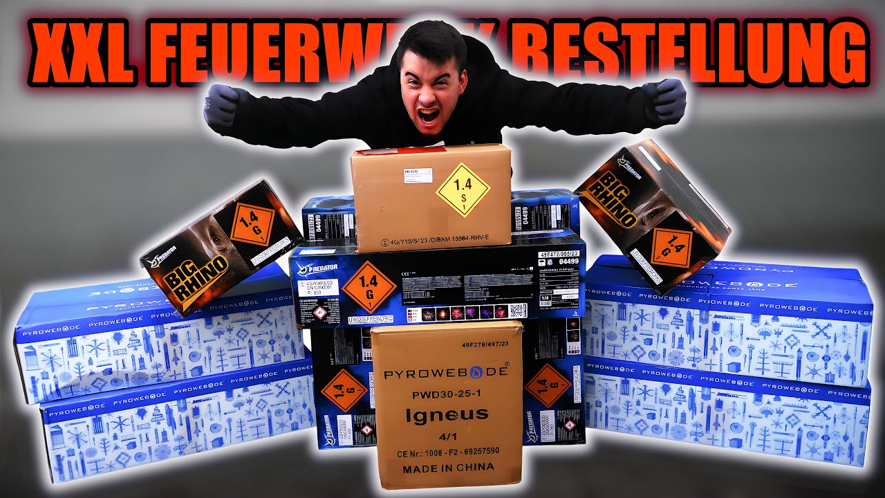 Meine XXL SILVESTER BESTELLUNG 🧨💥 2500€ FEUERWERK AUSPACKEN! 🔥😍