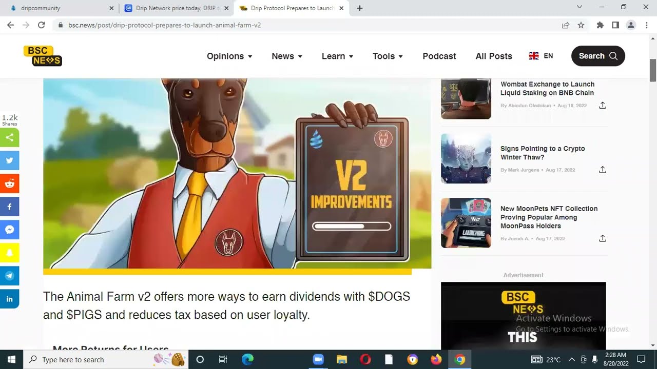 DRIP NETWORK  AND ANIMAL FARM PROTOCOLS  BSC NEWS + NEW DRIP GARDEN GAME MASSIVE UPDATES.