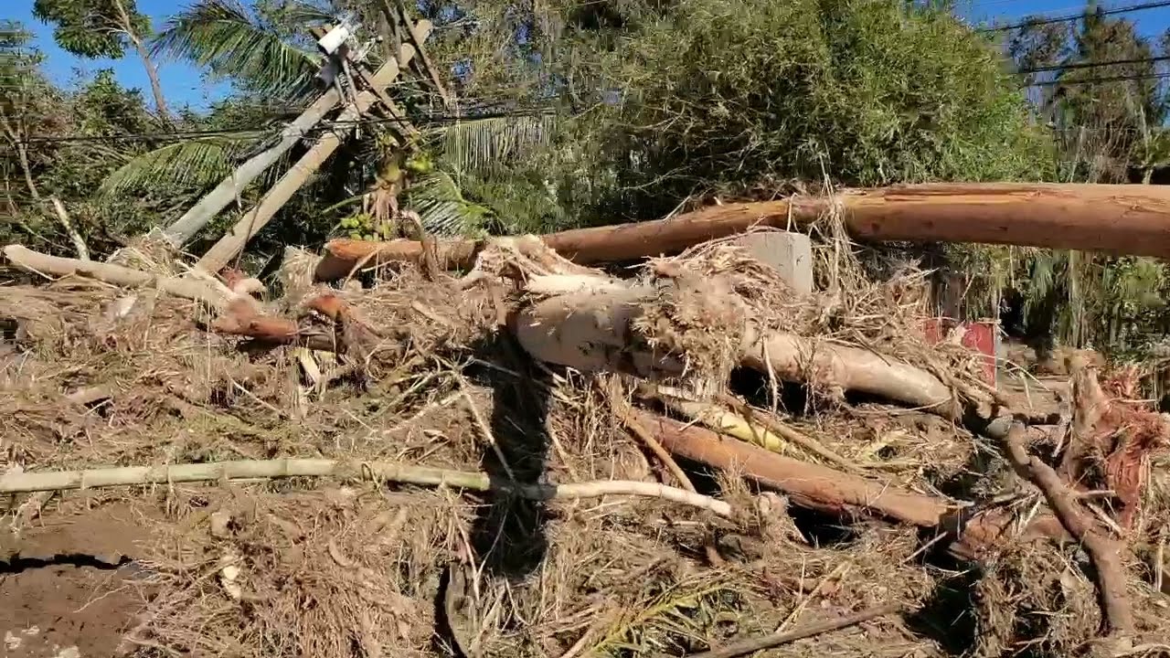 Manjuyod and Bindoy Aftermath of Typhoon Odette 🌀🌧️