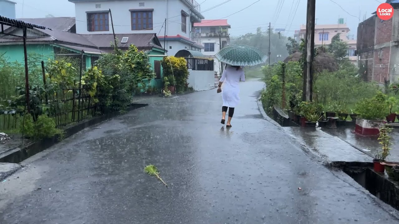 Rainy and Thunder Morning Walk through My Village-Blissful Nature