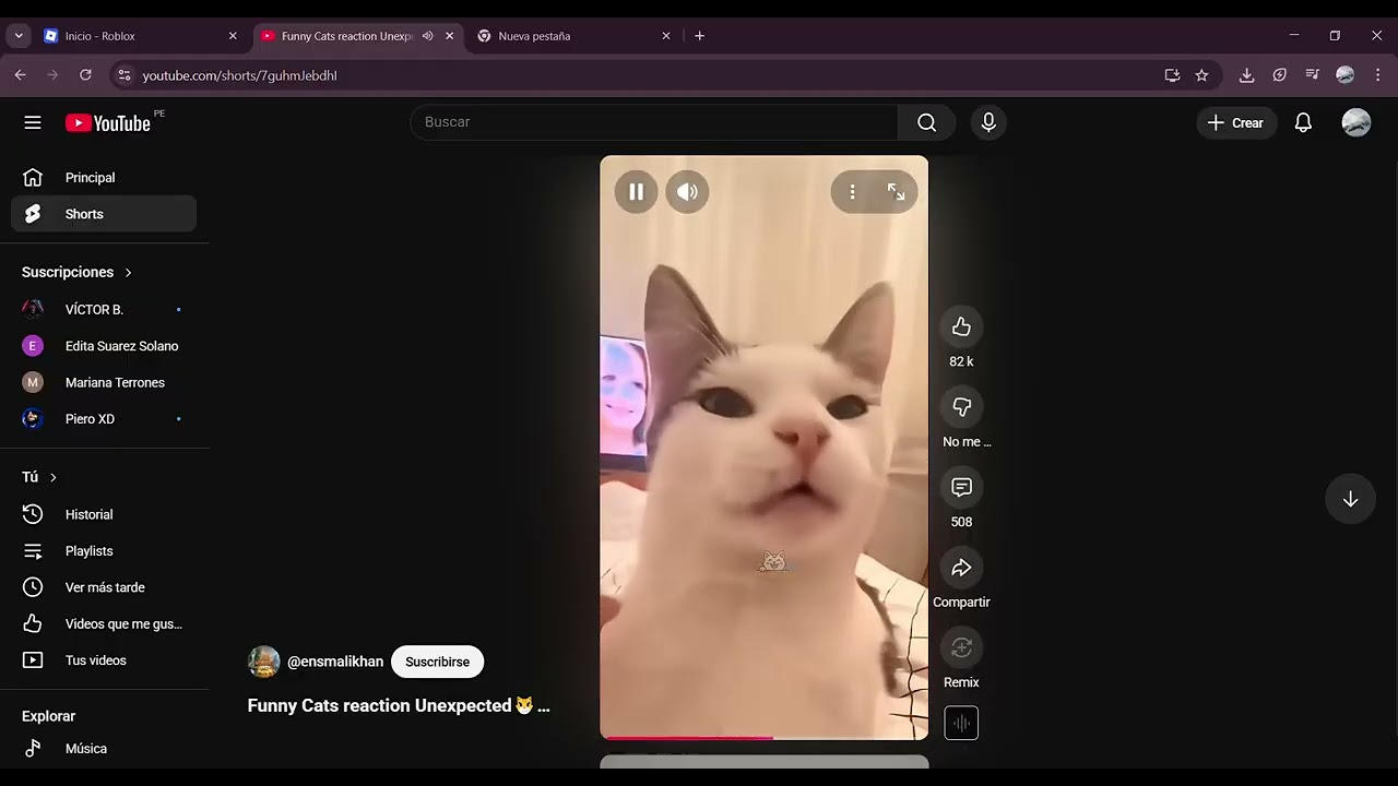 Funny Cats reaction Unexpected😼😼