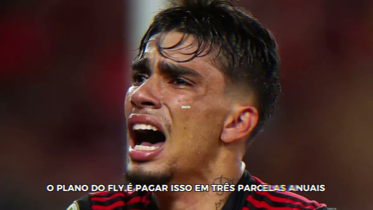 NOTÍCIA QUENTE! ACABOU DE ACONTECER A REVIRAVOLTA NA VOLTA DE PAQUETÁ AO NINHO! 