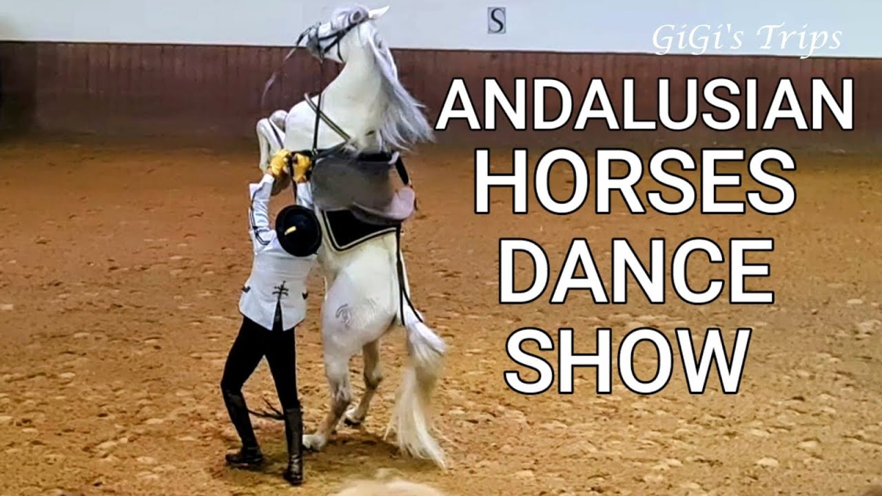 Jerez de la Frontera - Andalusian Horses Dance Show - The Royal Andalusian School of Equestrian Art