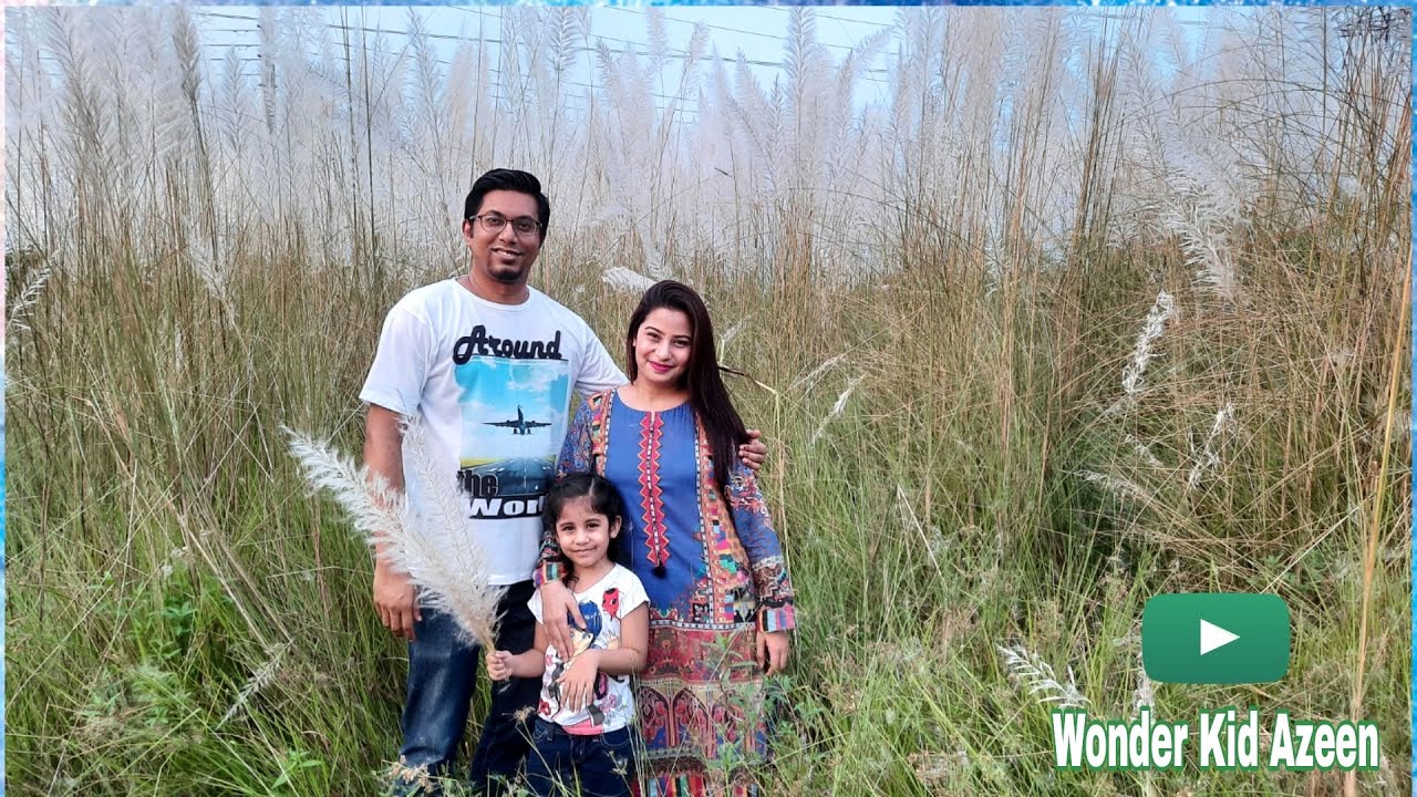 কাশফুল | Kashful – Icon of Autumn