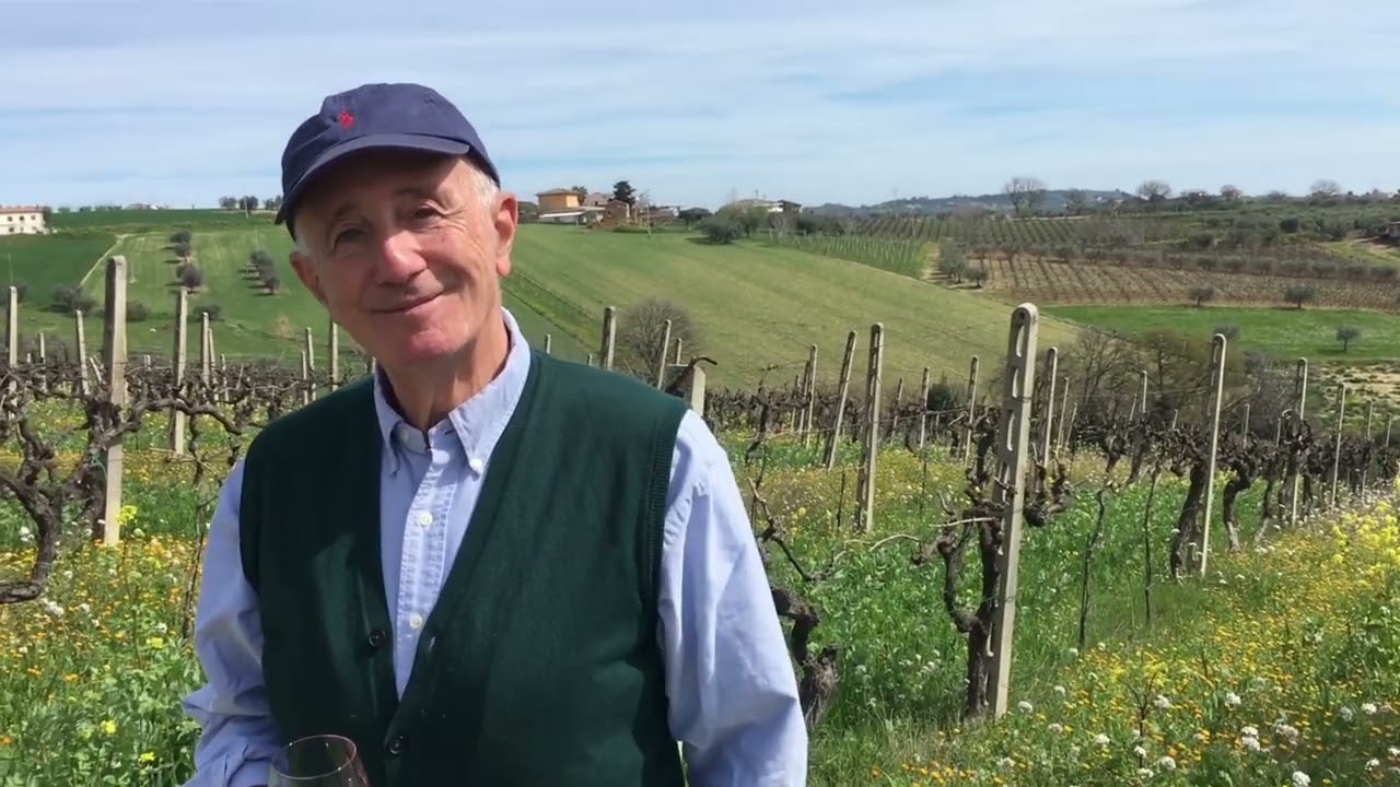 De Angelis Corvi, Abruzzo e Molise: Slow Wine 2024
