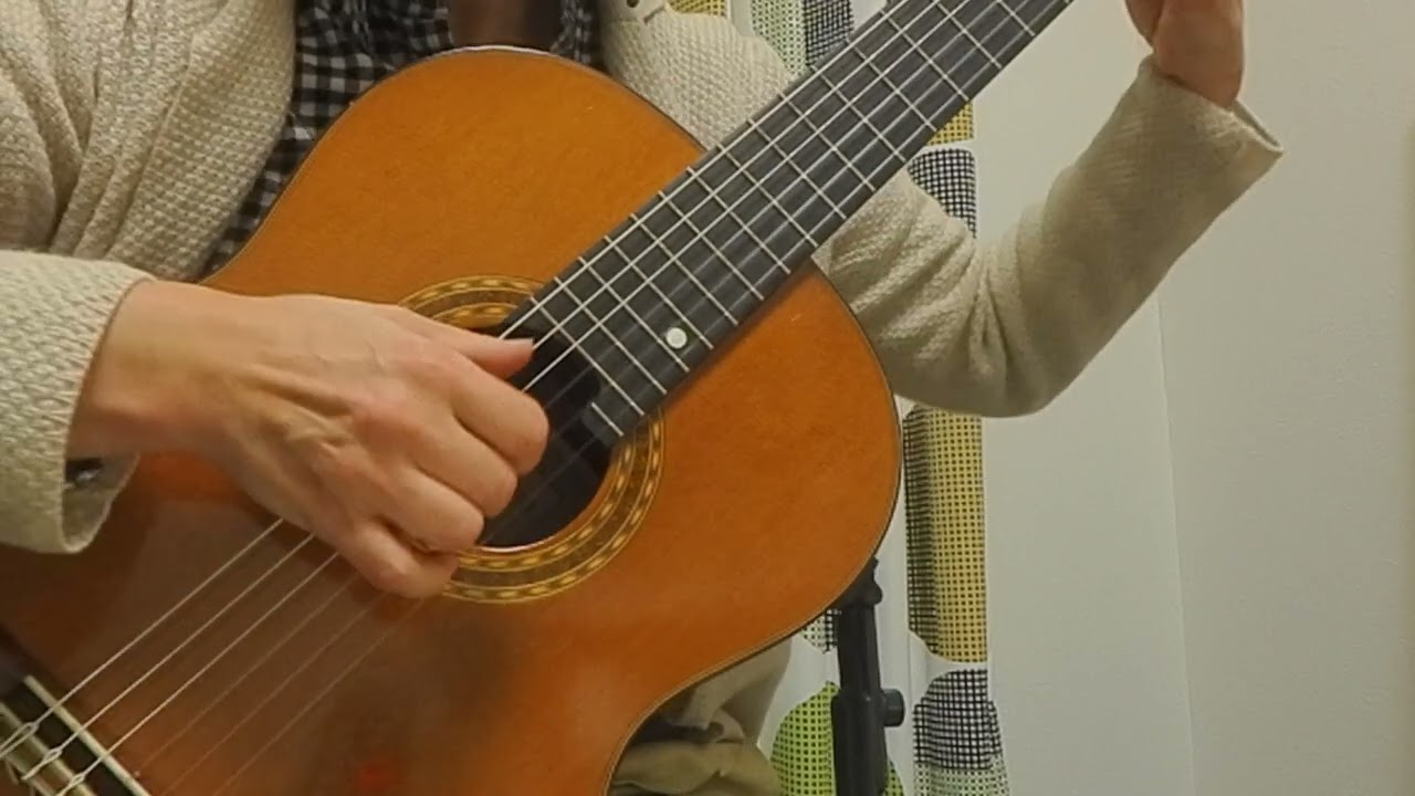 「白い恋人たち」F.レイ(竹内編)/