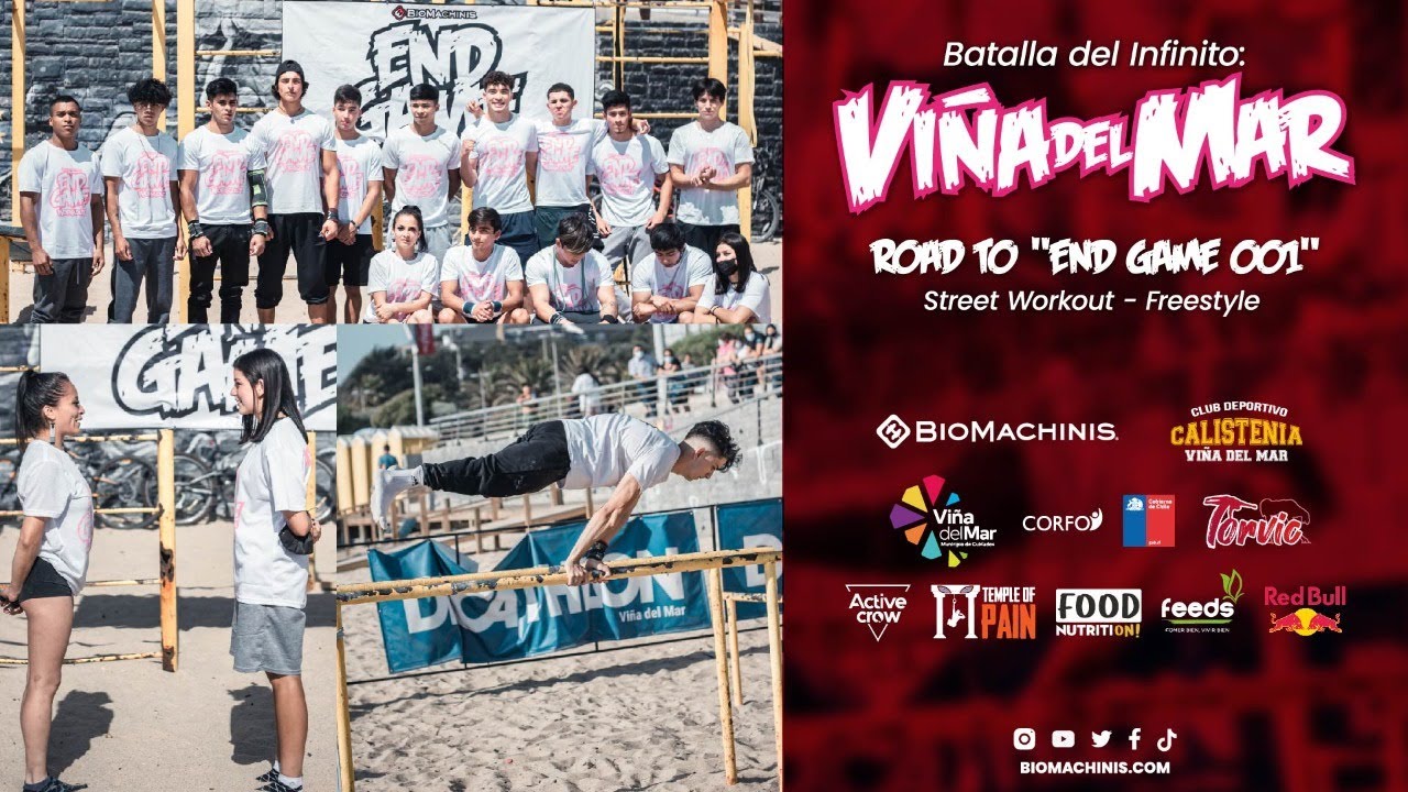 Batalla del infinito | Viña del Mar | End Game 001