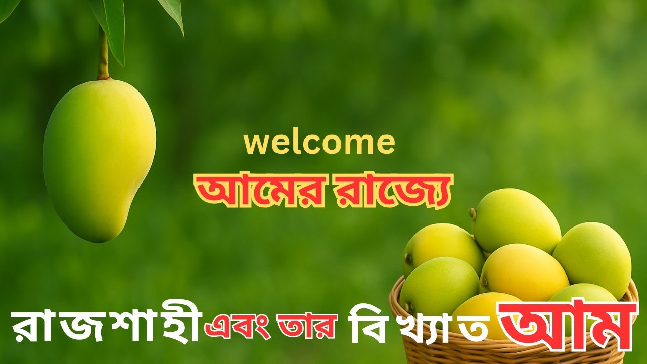 রাজশাহী মানেই বাংলাদেশের সেরা আম | Rajshahi Mango |