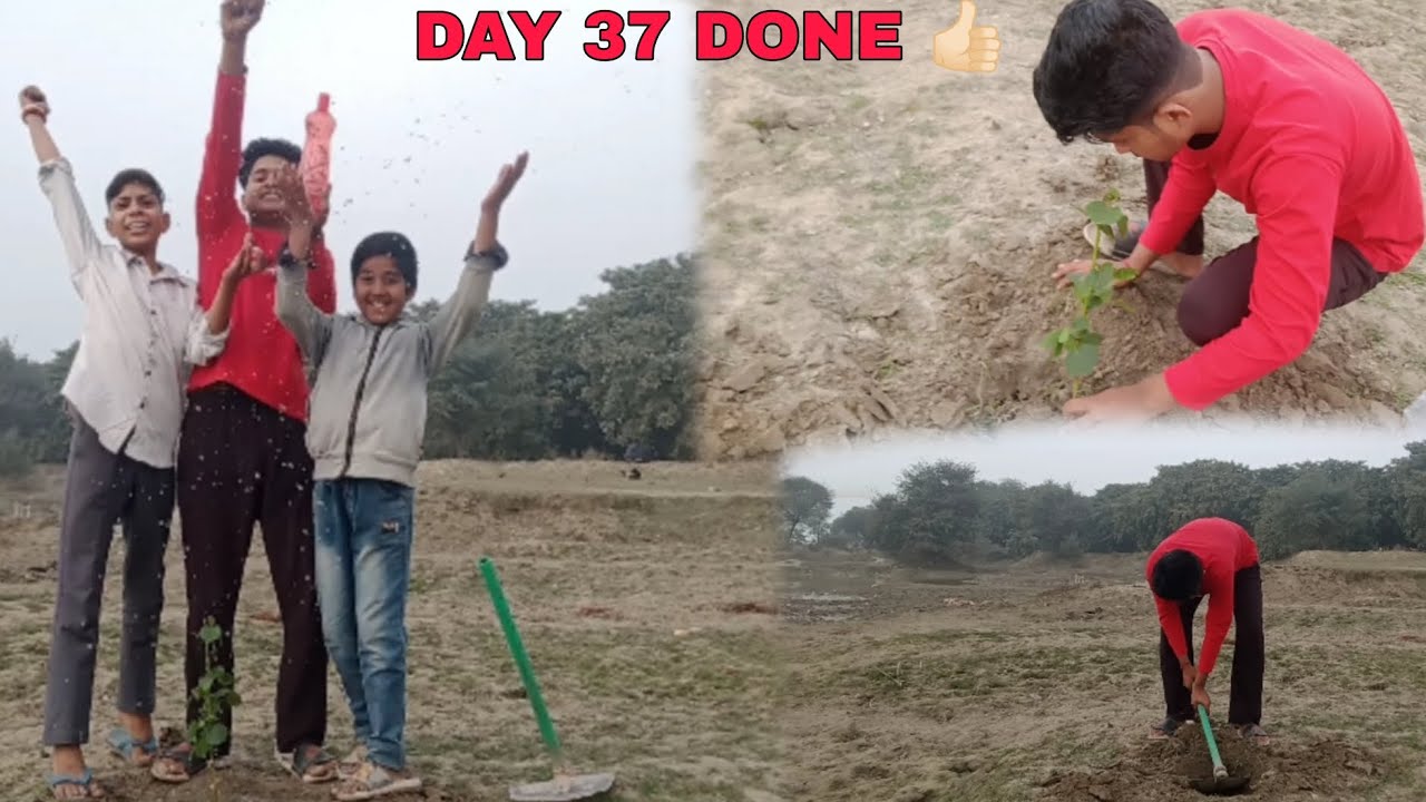 🌳DAY 37 AQI LEVEL FOR DELHI PLEASE HELP THIS MY WORK ....🌲