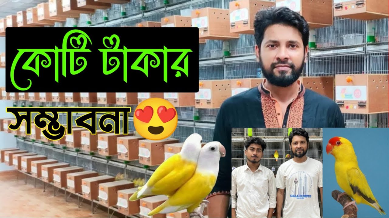 বাংলাদেশের সবচেয়ে সুন্দর লাভবার্ডস পাখির খামার চলুন দেখে আসি 😍 Romel Ashraf Aviary