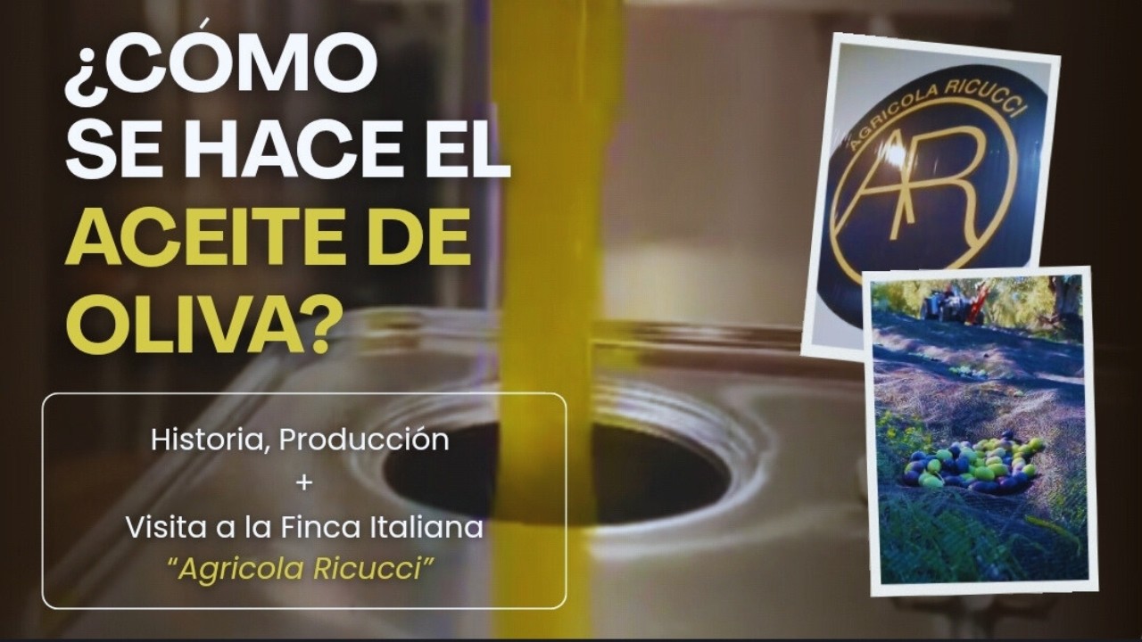 Cómo se hace el aceite de oliva virgen extra | Historia, Proceso y Visita a Finca Italiana. #olioevo