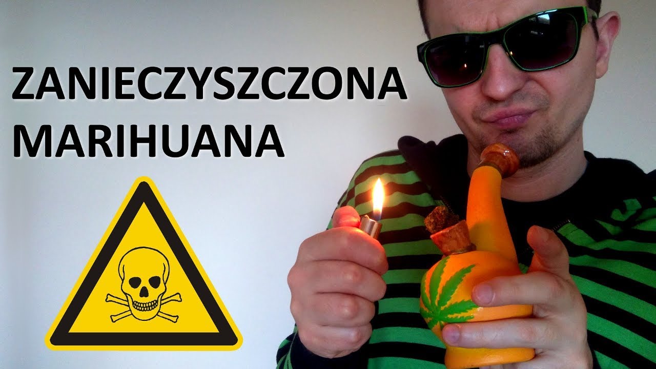 Jak rozpoznać zanieczyszczoną MARIHUANĘ? | PRZEMEK ZAWADZKI