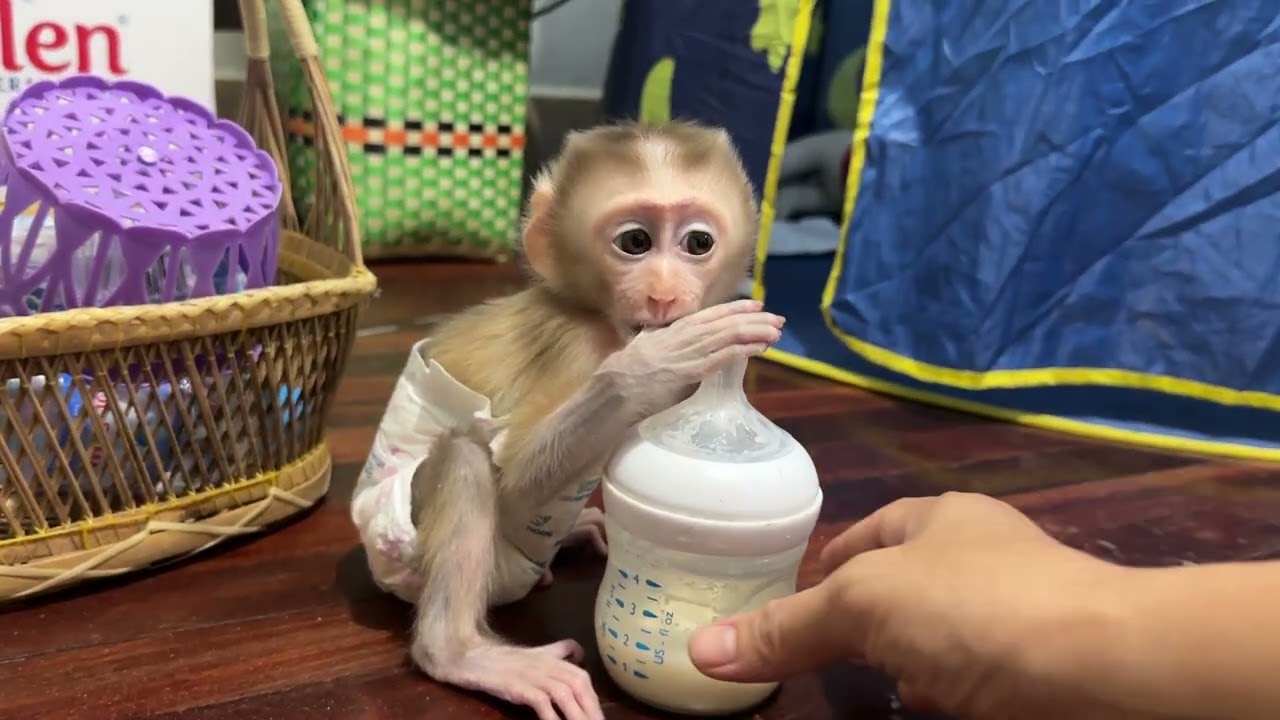 Baby milk time 