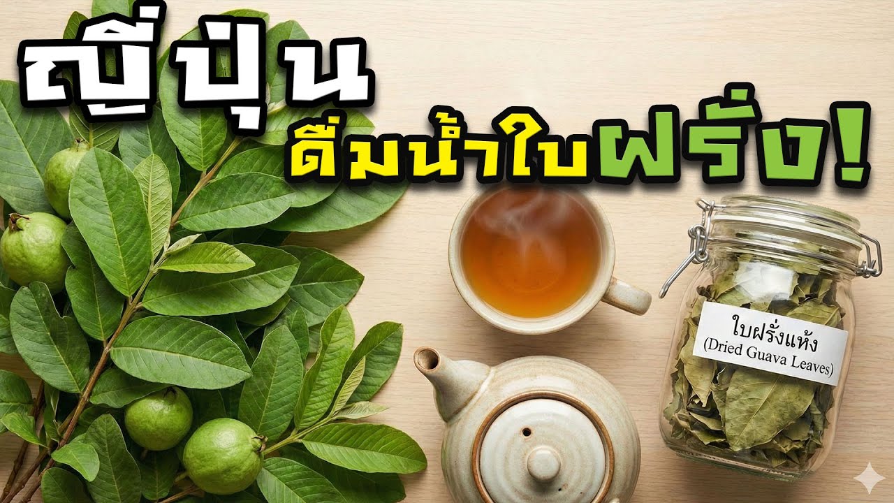 ช็อค !! คนญี่ปุ่น ดื่มน้ำใบฝรั่งเพื่ออะไร? เหตุผลนี้..กลับคิดไม่ถึง  | Nava DIY