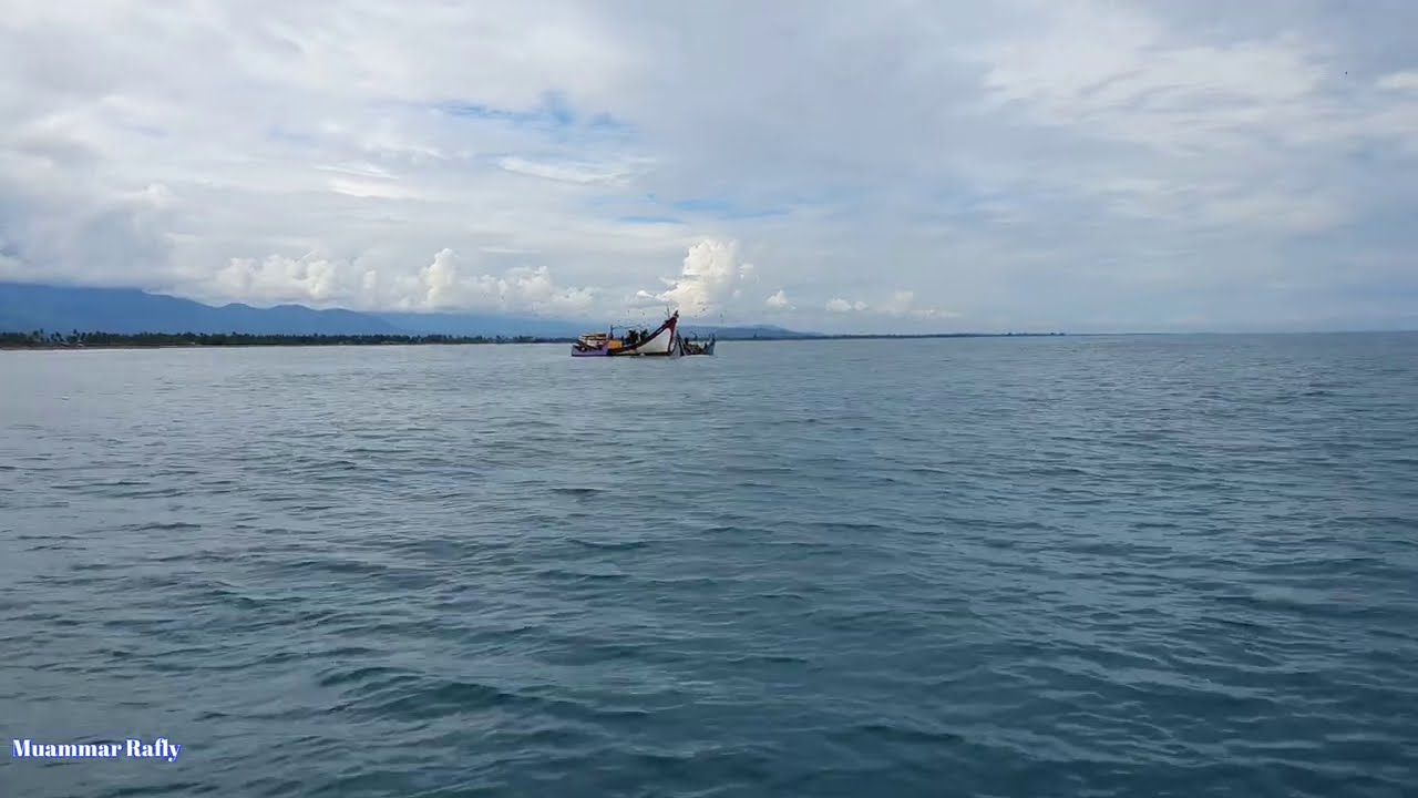 BEGINI CARA Proses Labuh Pukat ikan teri di laut