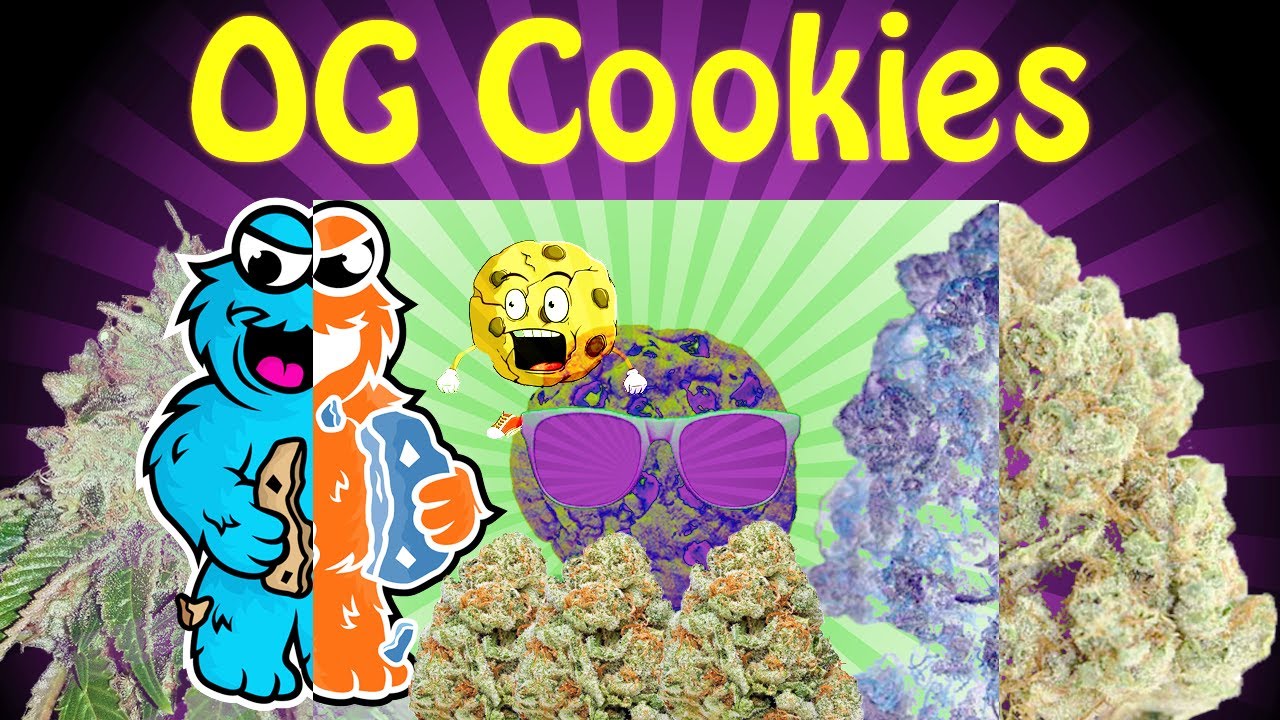 OG COOKIES STRAIN REVIEW | SERGEANT GREEN LEAF