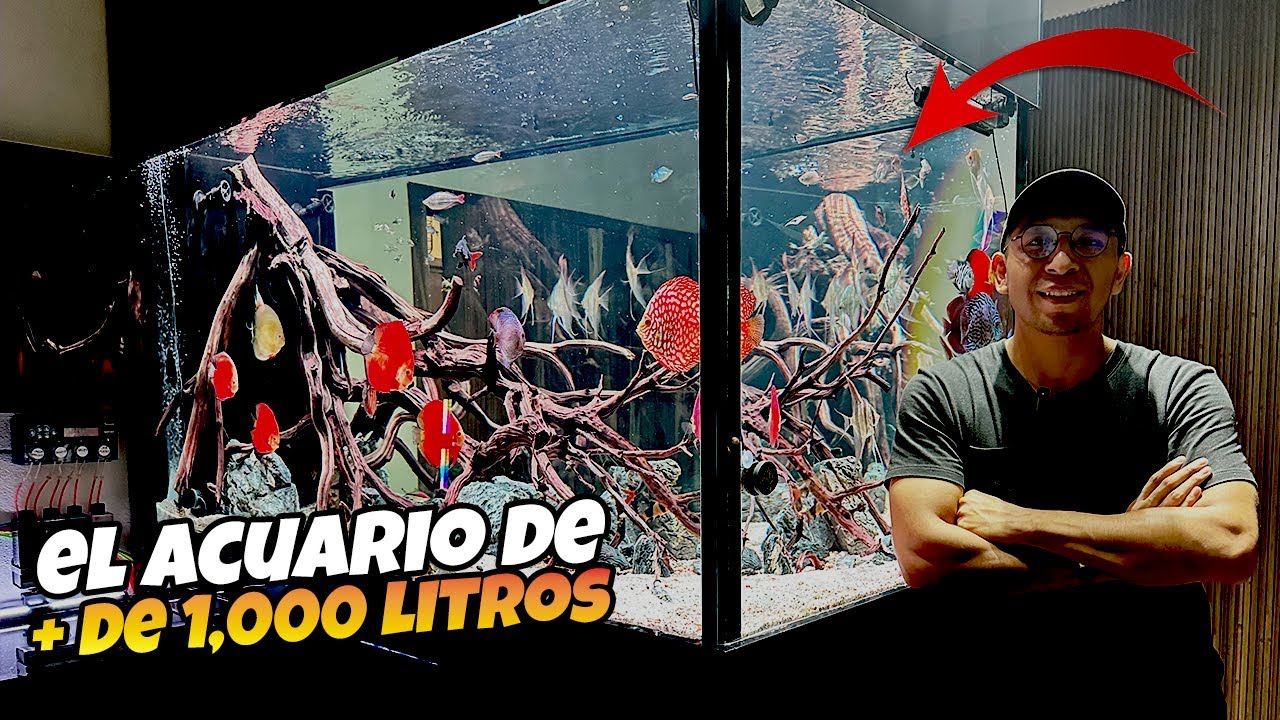 El Acuario Monster Tank De José 😲