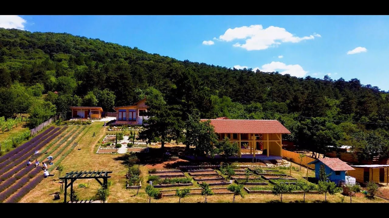 Rendeki Levendula Farm