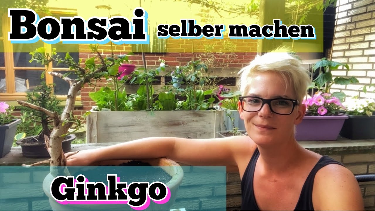 Bonsai | Bonsai selber machen | Rettungsaktion eines Ginkgo aus meinem Garten | Bonsai erstellen