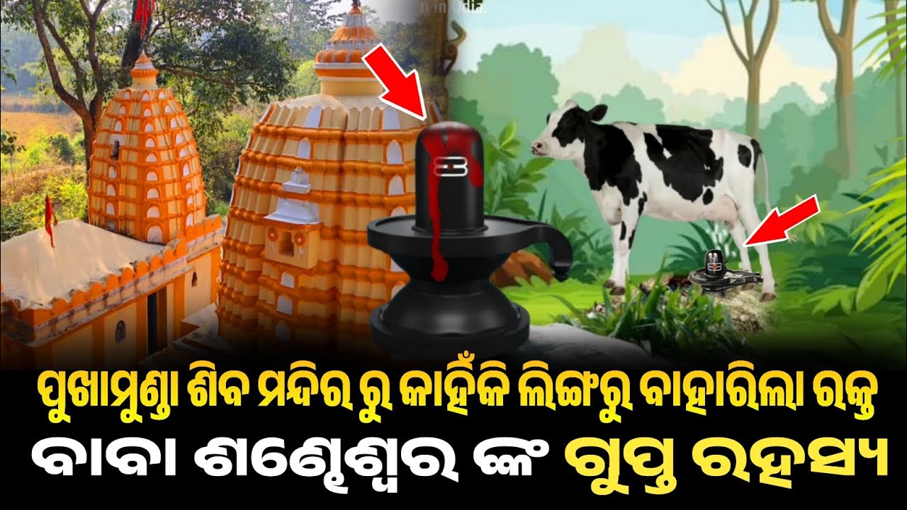 The Story of Pukhamunda Shiva Temple, Bargarh | The Mystery Shiva Temple of Bargarh District !