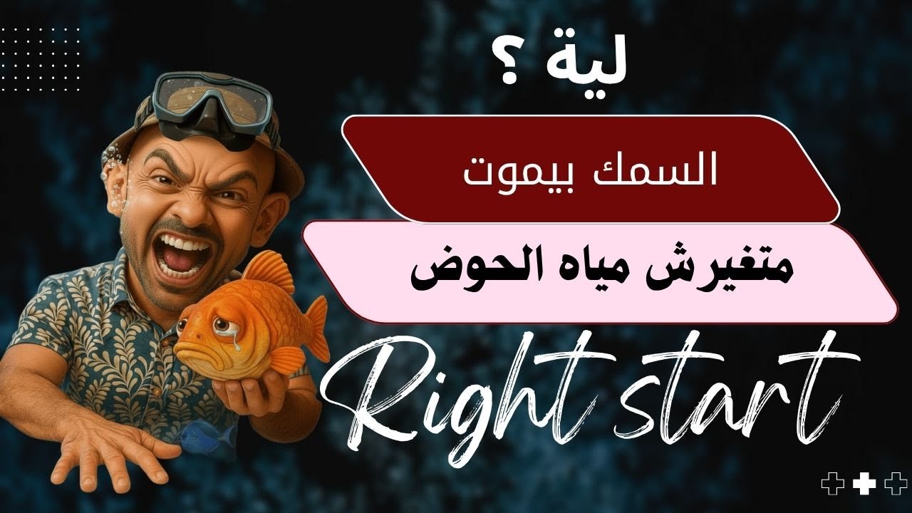 اسباب موت اسماك الزينة _ حلها بكل سهولة