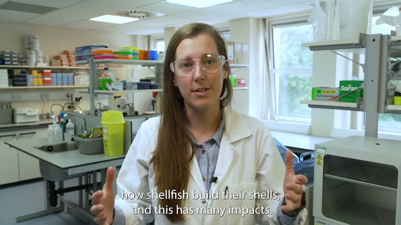The Shellfish Laboratory & Aquarium, School of Biological Sciences at University of Aberdeen