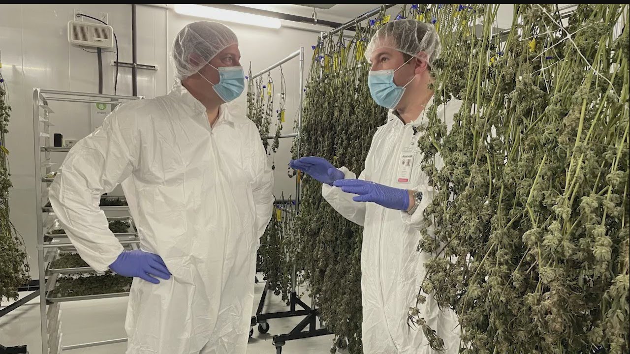 Tim Ryan's visit to Riviera Creek in Youngstown puts marijuana on campaign table