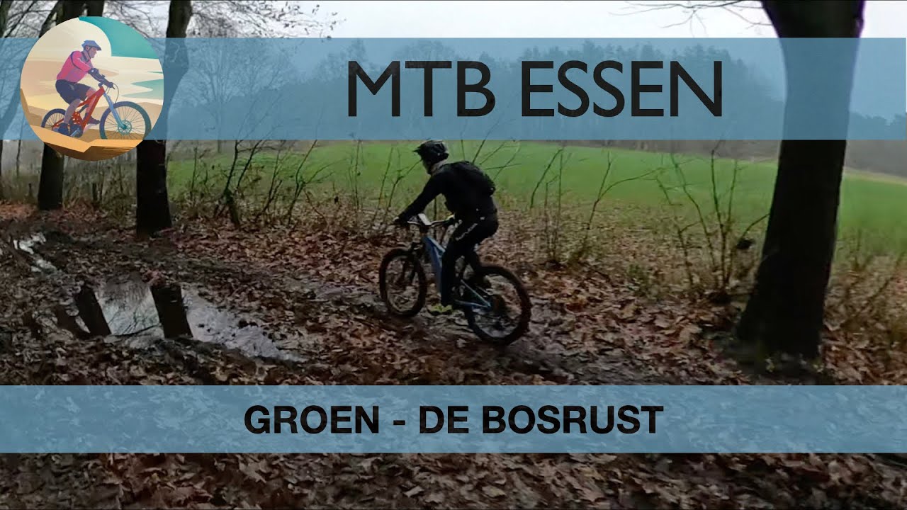 MTB // België // Kempen // Essen // Groen