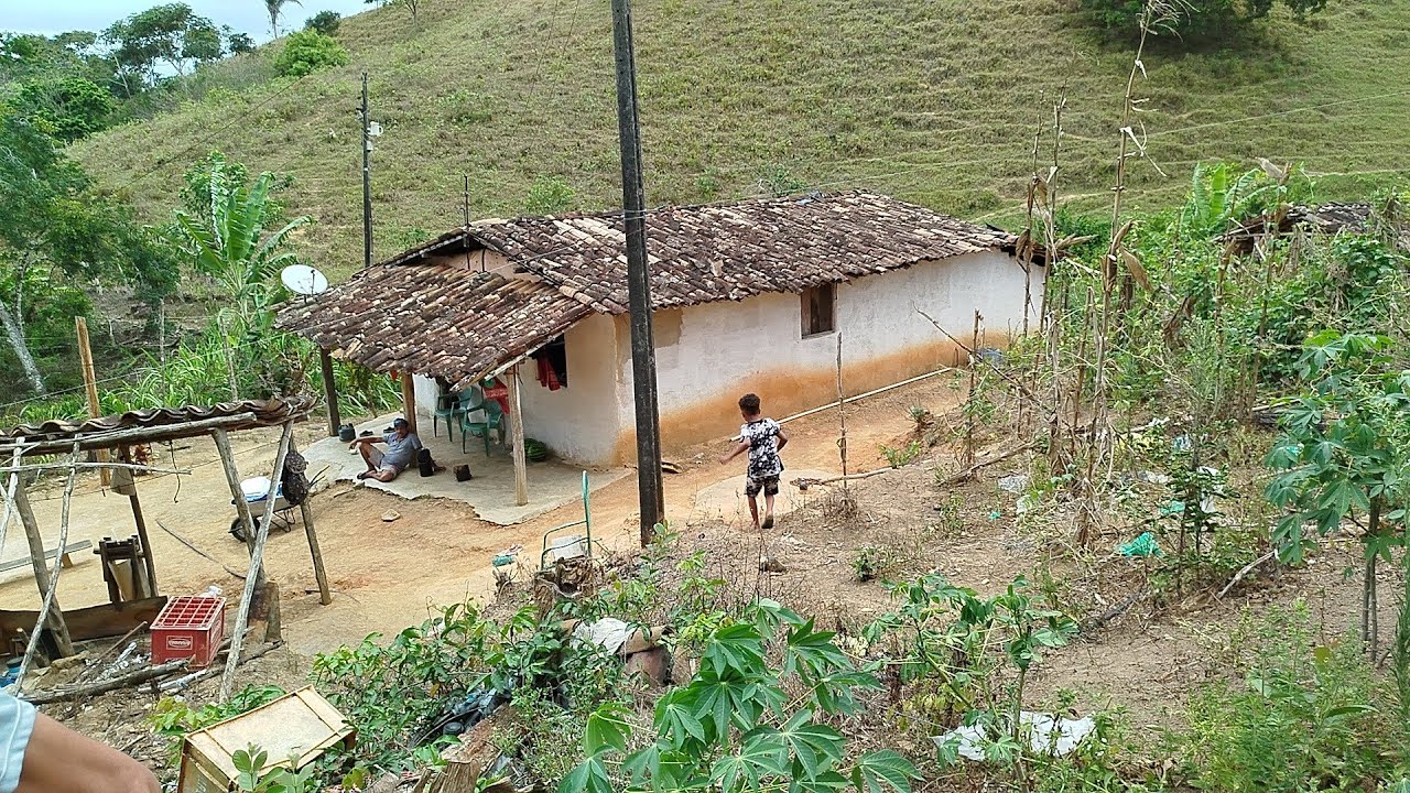 assim é a nossa vida morando aqui na roça