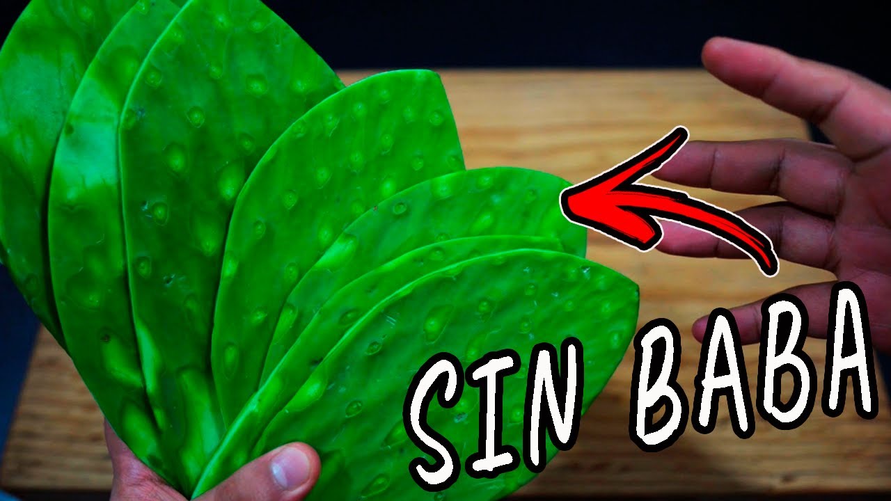 El secreto para cocer NOPALES SIN BABA | El Mister Cocina