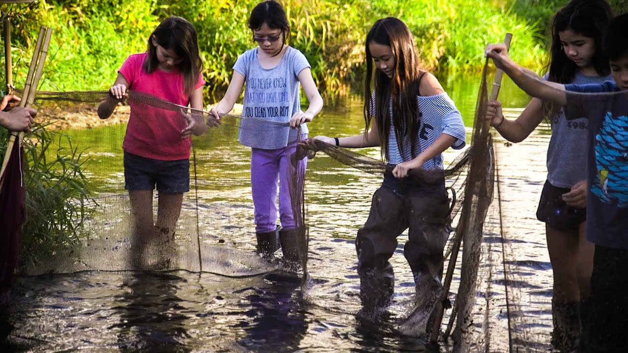 Ala Wai Watershed Project