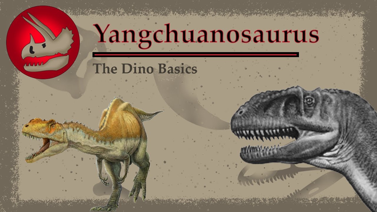Yangchuanosaurus | The Asian Allosaurus | Dino Basics