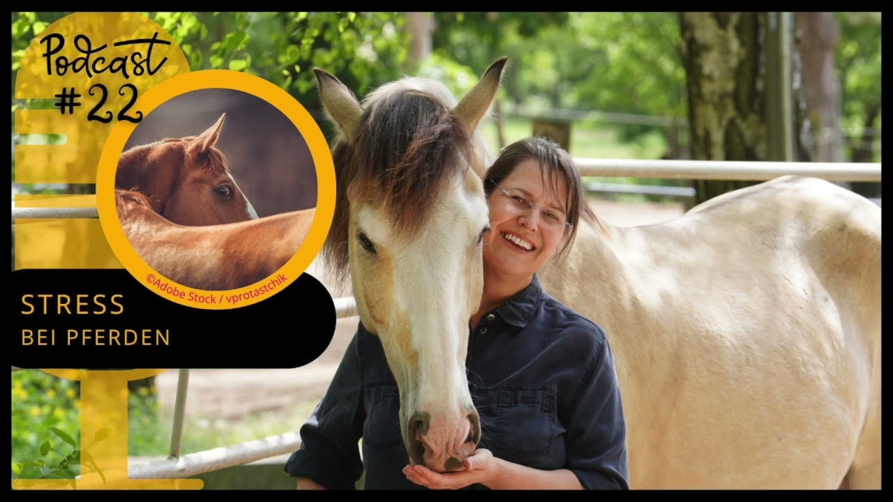 Sanoanimal Podcast #22 - Stress bei Pferden