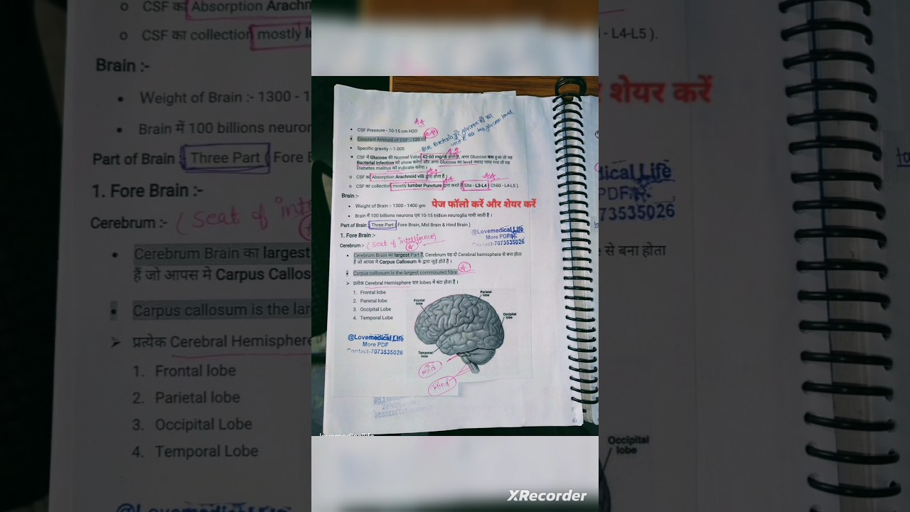 Brain notes #nursing #doctor #medicalnotes
