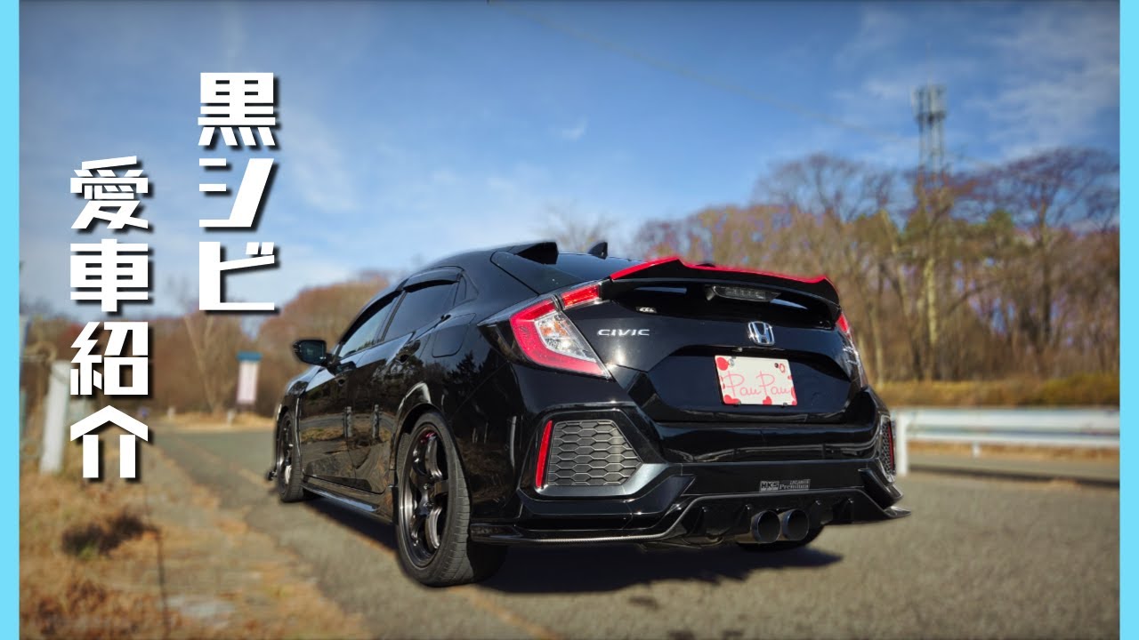 青空のなか愛車のシビックまったり紹介する🌟 / シビック紹介