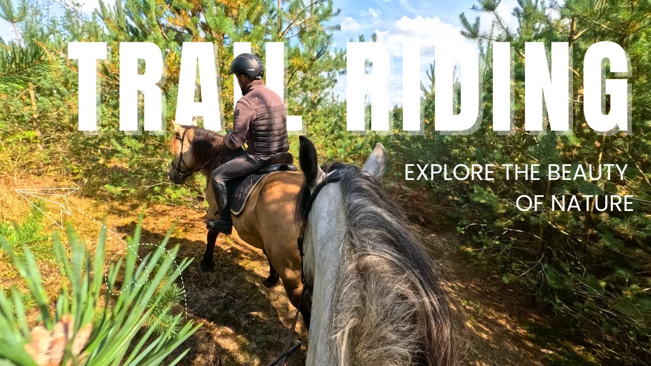 Exploring Different Landscapes on Horseback 🐎 | Drents-Friese Wold National Park Adventure | Part 2