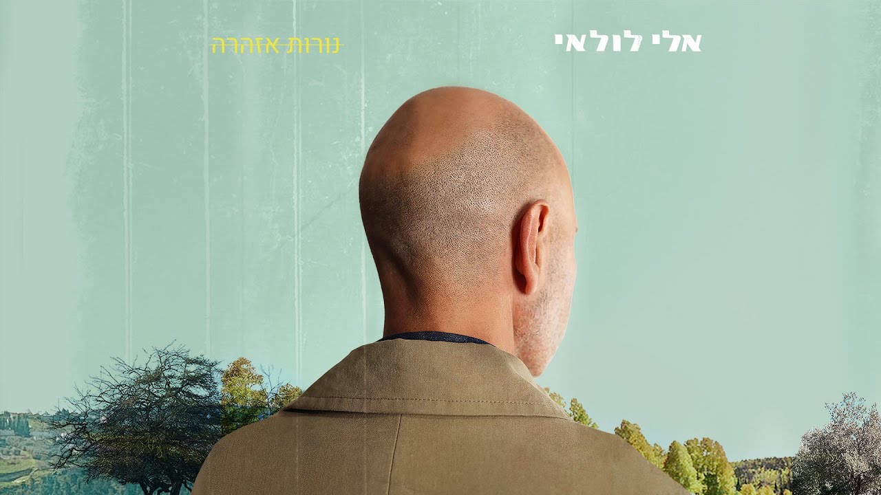 אלי לולאי - נורות אזהרה