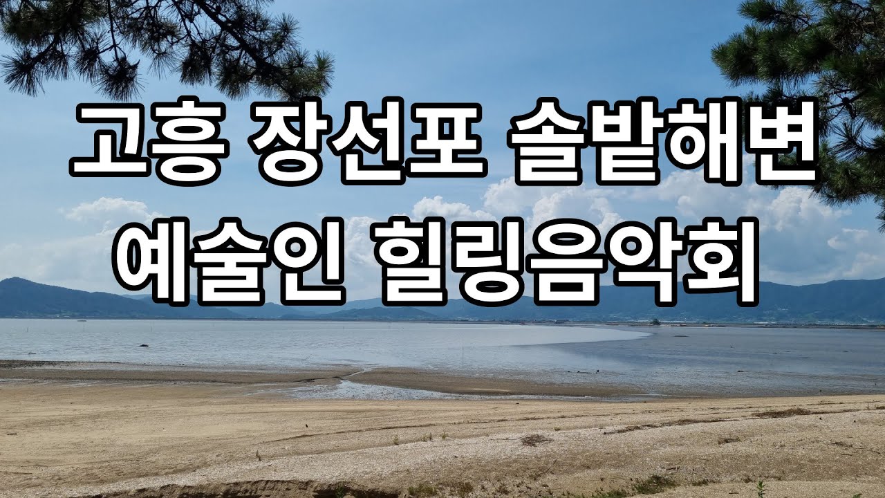 대통TV방송 /장선포 솔밭힐링음악회
