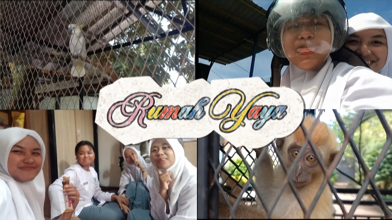Main ke rumah yayayy
