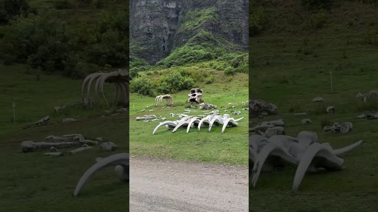 Inside Kualoa Ranch: Filming Locations from Jurassic Park to Jumanji! 