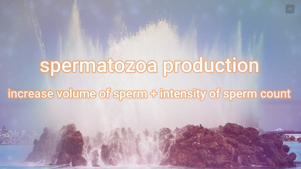 Spermatozoa : increanse sperm volume, concentration, Amount, Motility, Morphology, Total sperm count