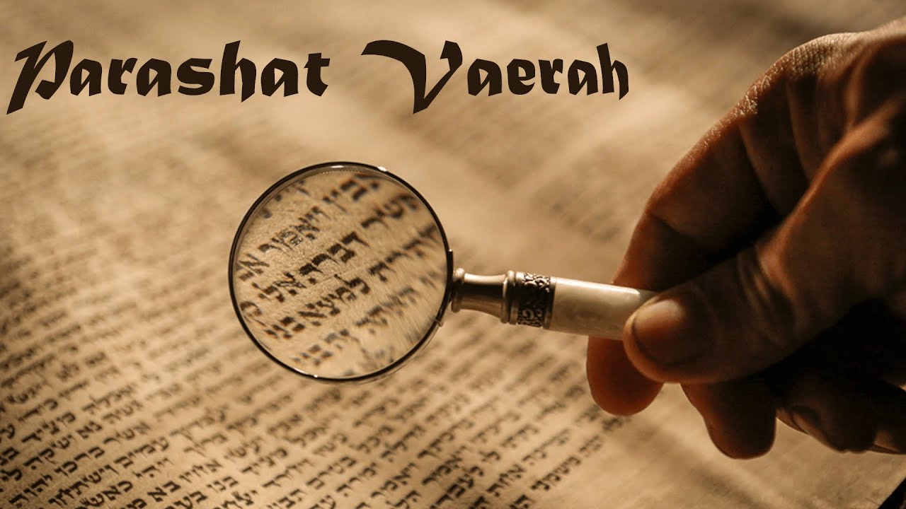 14 Parashat Vaerah - Año 5786
