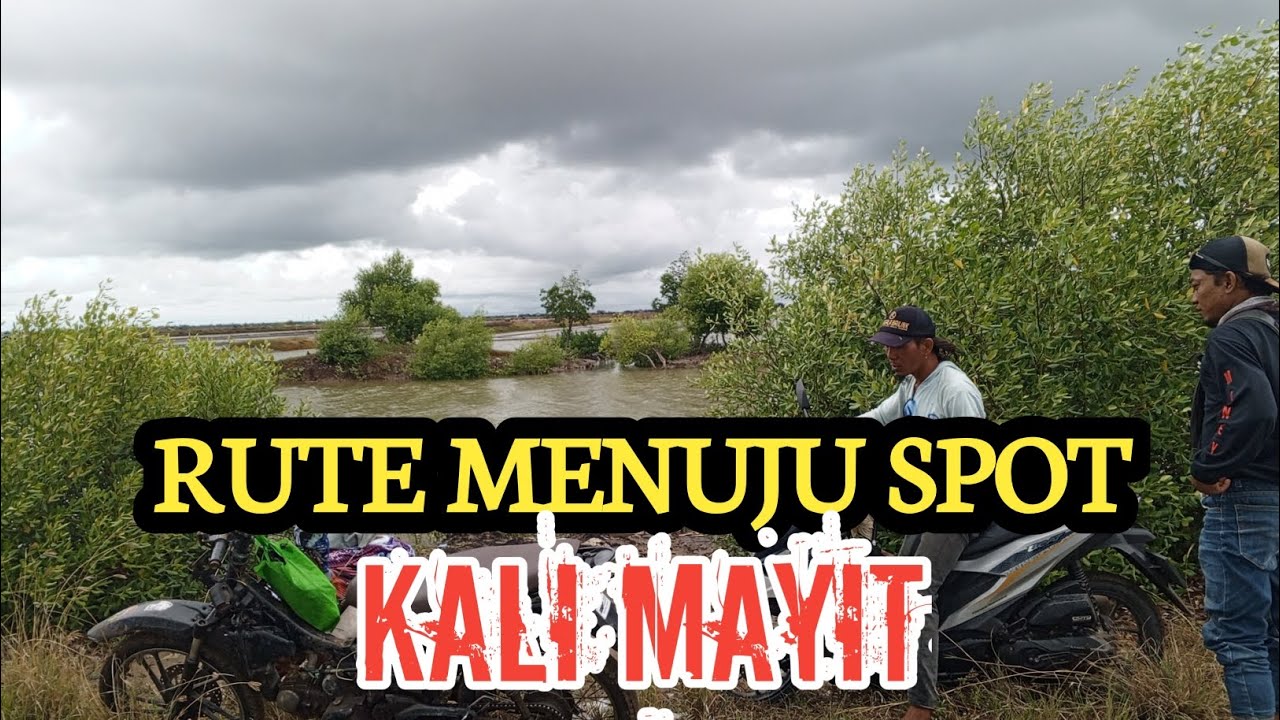 RUTE SPOT KALI MAYIT BLENDUNG CEMARA KULON INDRAMAYU  @WisMbuhFishing 